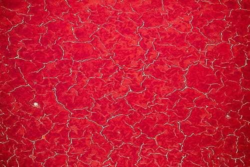 Africa-Tanzania-Aerial view of patterns of red algae and salt formations in shallow salt waters Art Print